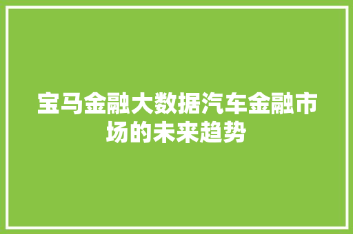 宝马金融大数据汽车金融市场的未来趋势