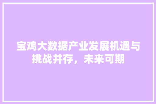 宝鸡大数据产业发展机遇与挑战并存，未来可期