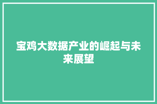 宝鸡大数据产业的崛起与未来展望