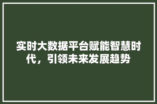 实时大数据平台赋能智慧时代，引领未来发展趋势