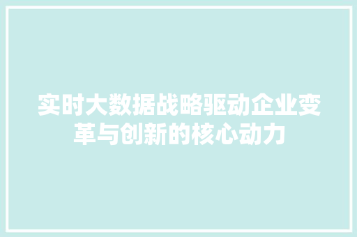 实时大数据战略驱动企业变革与创新的核心动力