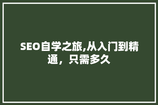 SEO自学之旅,从入门到精通，只需多久