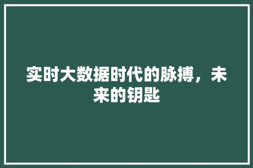 实时大数据时代的脉搏，未来的钥匙