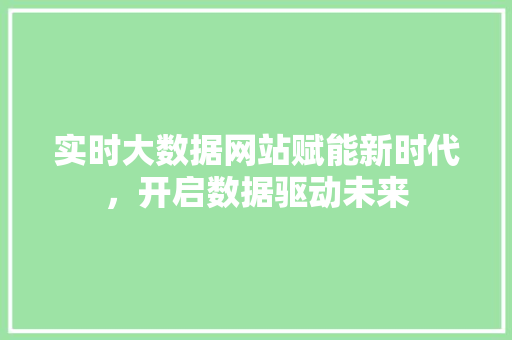 实时大数据网站赋能新时代，开启数据驱动未来