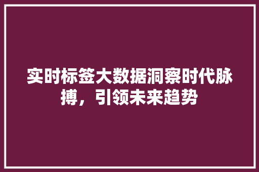 实时标签大数据洞察时代脉搏，引领未来趋势