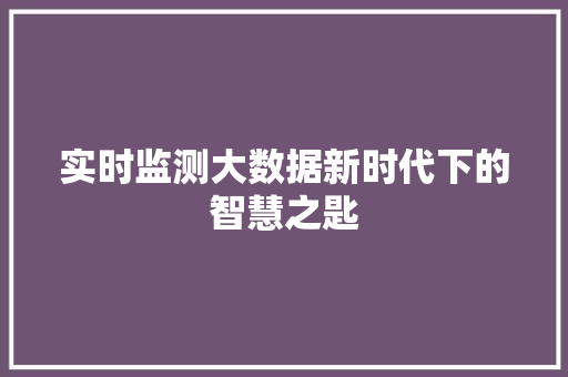 实时监测大数据新时代下的智慧之匙