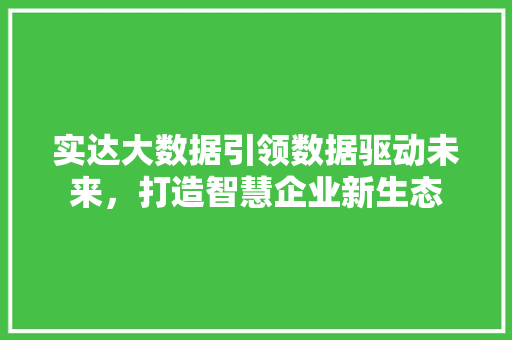 实达大数据引领数据驱动未来，打造智慧企业新生态