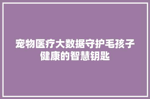 宠物医疗大数据守护毛孩子健康的智慧钥匙