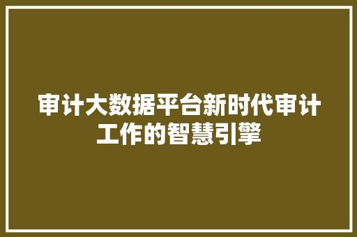 审计大数据平台新时代审计工作的智慧引擎