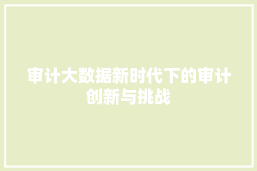 审计大数据新时代下的审计创新与挑战
