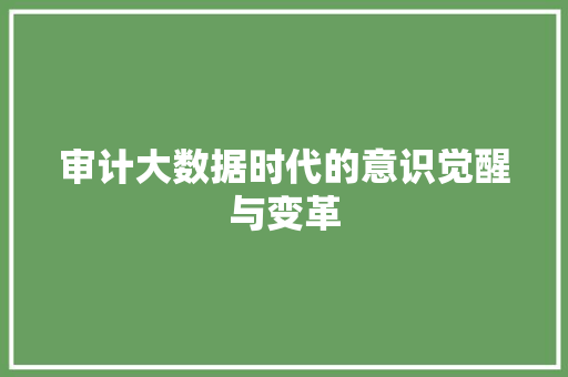 审计大数据时代的意识觉醒与变革