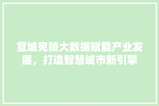 宣城宛陵大数据赋能产业发展，打造智慧城市新引擎