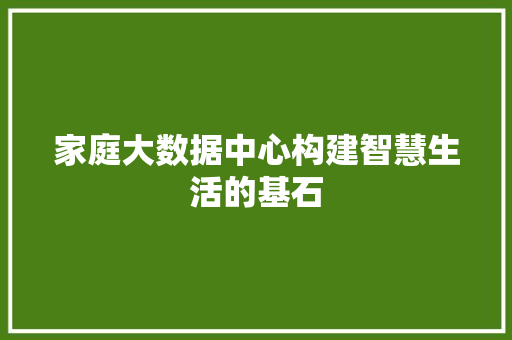 家庭大数据中心构建智慧生活的基石