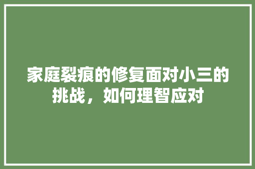 家庭裂痕的修复面对小三的挑战，如何理智应对