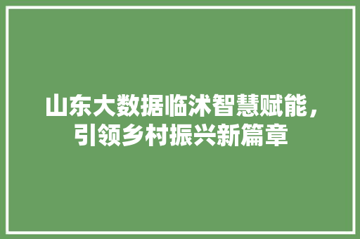 山东大数据临沭智慧赋能，引领乡村振兴新篇章