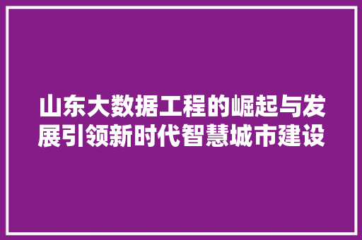 山东大数据工程的崛起与发展引领新时代智慧城市建设