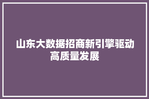 山东大数据招商新引擎驱动高质量发展
