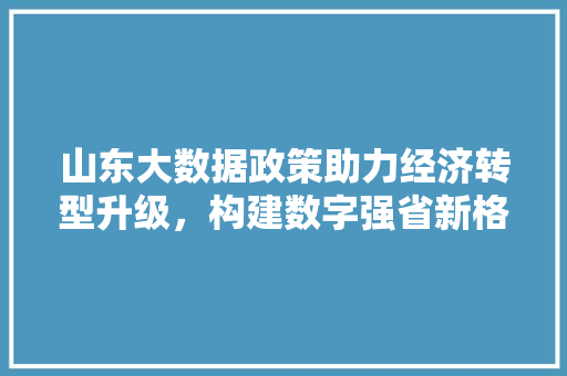 山东大数据政策助力经济转型升级，构建数字强省新格局