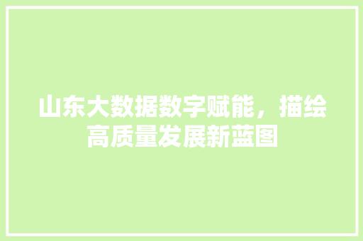 山东大数据数字赋能，描绘高质量发展新蓝图