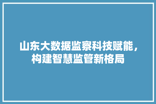 山东大数据监察科技赋能，构建智慧监管新格局