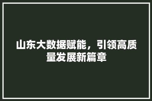 山东大数据赋能，引领高质量发展新篇章