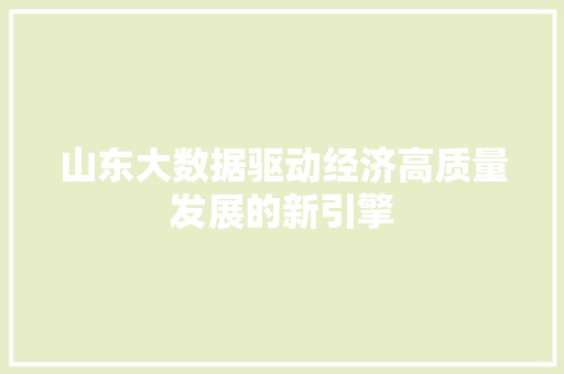 山东大数据驱动经济高质量发展的新引擎