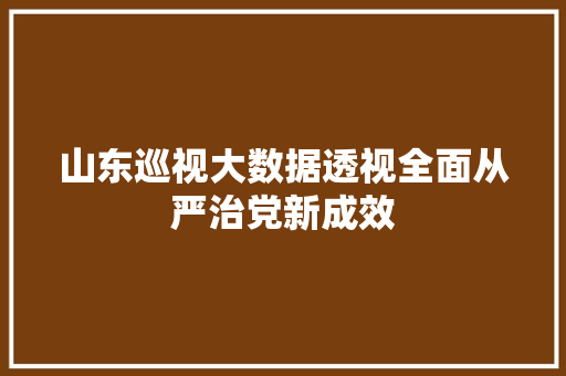 山东巡视大数据透视全面从严治党新成效