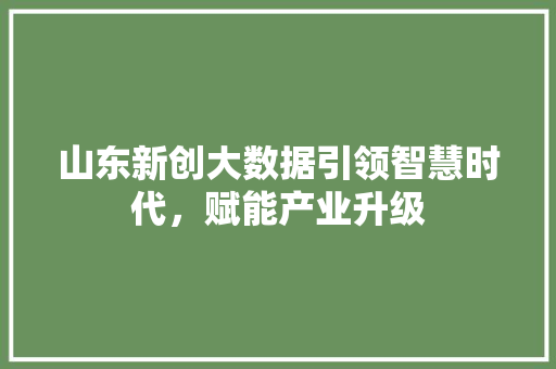 山东新创大数据引领智慧时代，赋能产业升级