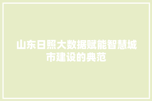 山东日照大数据赋能智慧城市建设的典范