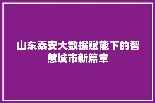 山东泰安大数据赋能下的智慧城市新篇章