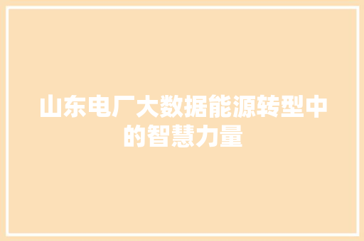 山东电厂大数据能源转型中的智慧力量