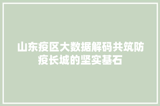 山东疫区大数据解码共筑防疫长城的坚实基石