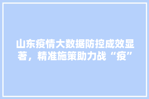 山东疫情大数据防控成效显著，精准施策助力战“疫”