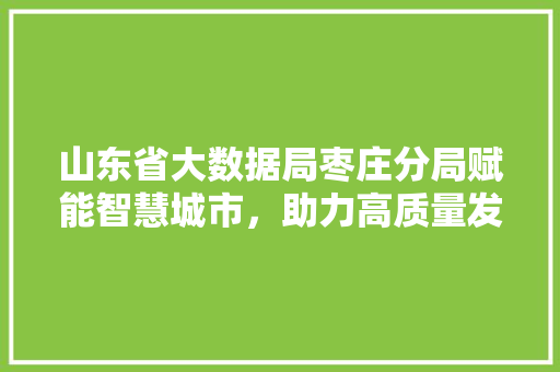 山东省大数据局枣庄分局赋能智慧城市，助力高质量发展