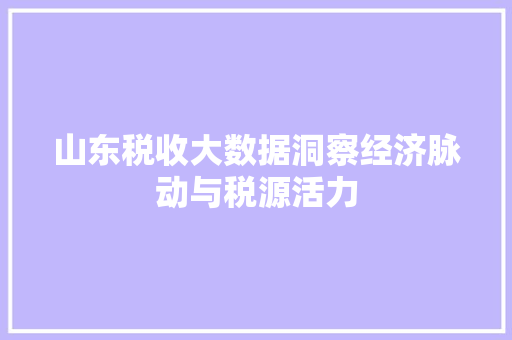 山东税收大数据洞察经济脉动与税源活力