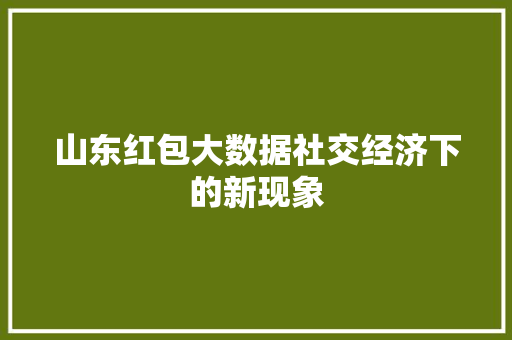 山东红包大数据社交经济下的新现象