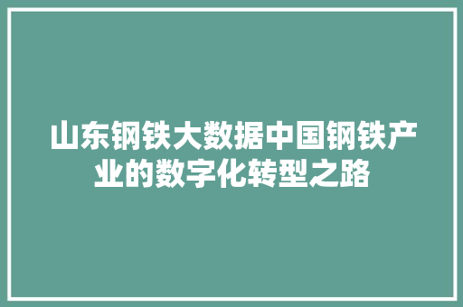 山东钢铁大数据中国钢铁产业的数字化转型之路