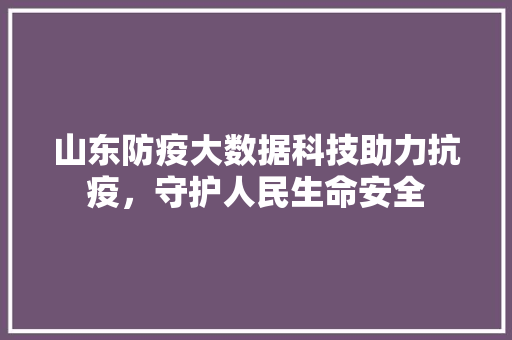 山东防疫大数据科技助力抗疫，守护人民生命安全