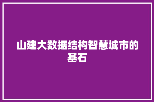 山建大数据结构智慧城市的基石
