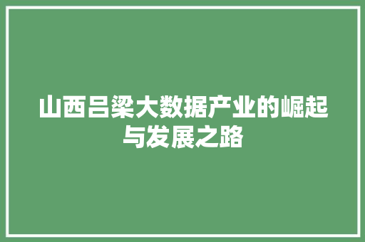 山西吕梁大数据产业的崛起与发展之路