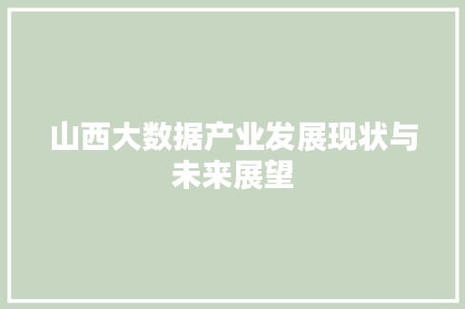 山西大数据产业发展现状与未来展望
