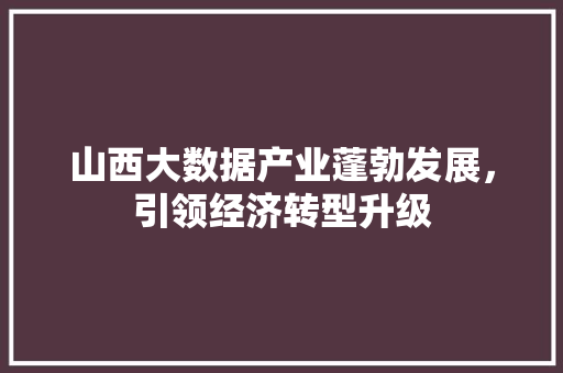 山西大数据产业蓬勃发展，引领经济转型升级
