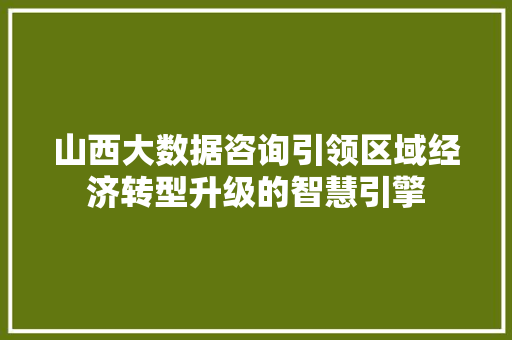 山西大数据咨询引领区域经济转型升级的智慧引擎