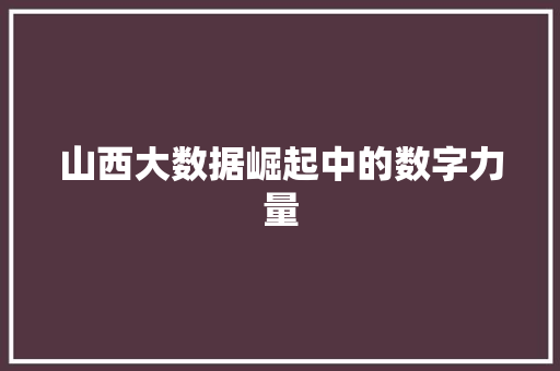 山西大数据崛起中的数字力量