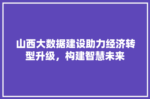 山西大数据建设助力经济转型升级，构建智慧未来