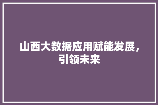 山西大数据应用赋能发展，引领未来