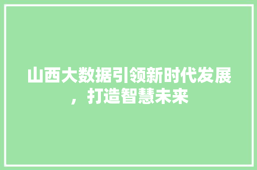 山西大数据引领新时代发展，打造智慧未来