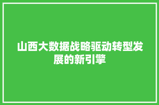 山西大数据战略驱动转型发展的新引擎