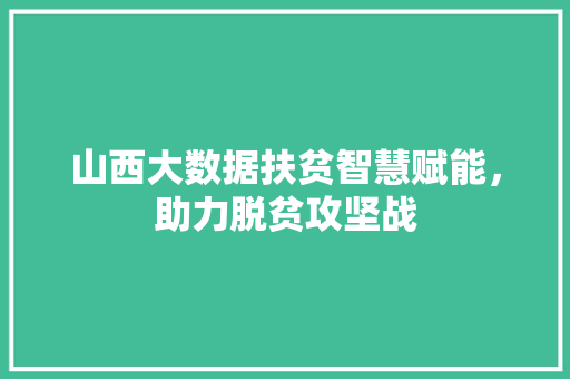 山西大数据扶贫智慧赋能，助力脱贫攻坚战