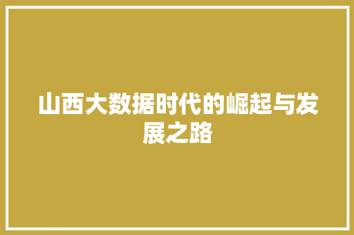 山西大数据时代的崛起与发展之路